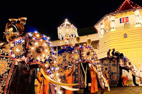 Kandy Esala Perahera (2024 août-10 - 2024 août-19)Kandy Esala Perahera