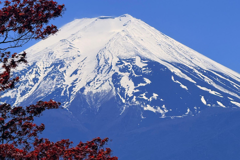 Tokyo: Private Guided Tour Mount Fuji , Hakone & Lakes