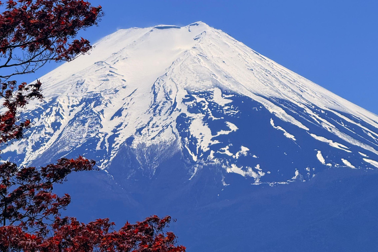 Tokyo: Private Guided Tour Mount Fuji , Hakone & Lakes