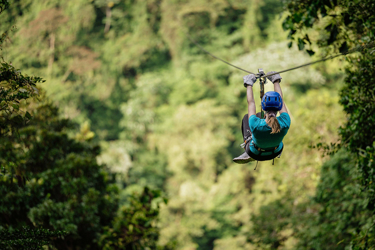 Kigali: 2-Day Nyungwe Canopy Walk, Zipline & Waterfall Tour