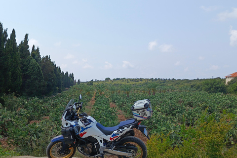 Beirut: Private Motorcycle Tour to Jeita, Byblos & Batroun