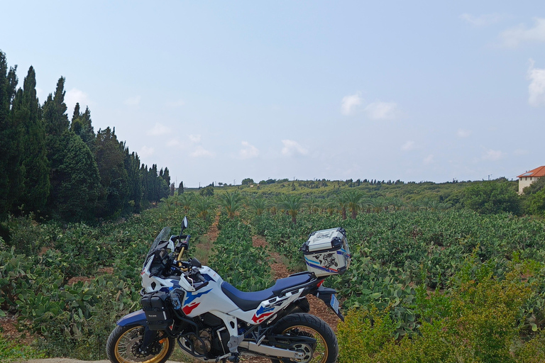 Beirut: Private Motorcycle Tour to Jeita, Byblos & Batroun
