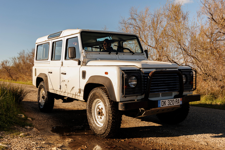 Aigues-Mortes 3H: Discover the secret Camargue in a 4x4 Full-Day