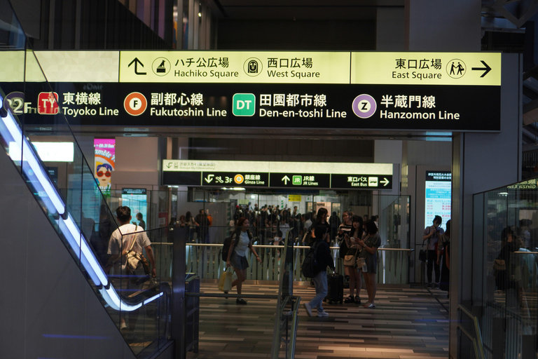 Tokyo: Shibuya After Dark, Neon Streets & Skyline View
