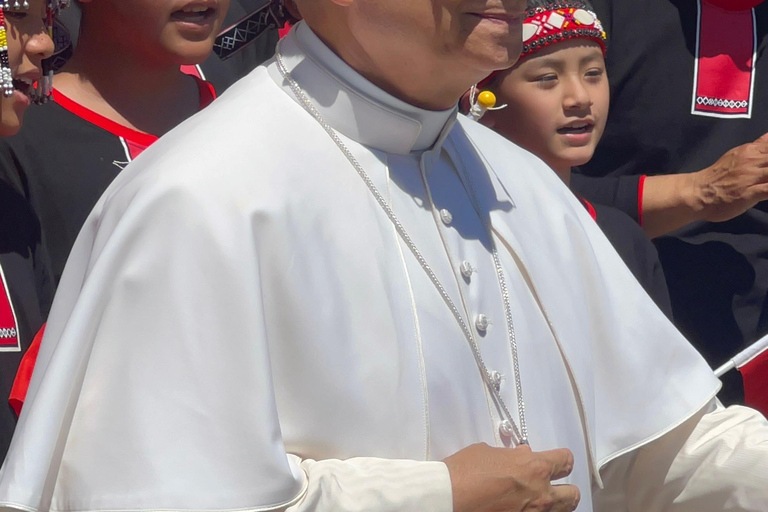 Papstaudienz, Vatikanische Museen und Sixtinische Kapelle Tour