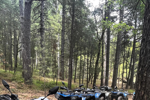 Motta Camastra: Tour in quad delle Gole Alcantara e dell'Etna