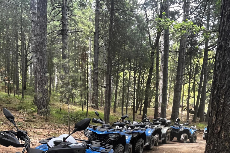 Motta Camastra: Tour in quad delle Gole Alcantara e dell'Etna