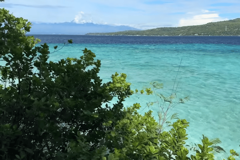 Oslob: Whale Sharks, Tumalog Falls & Sumilon Trio Adventure