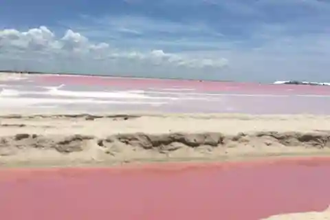 Mérida : Visite de Las Coloradas et du Rio Lagartos