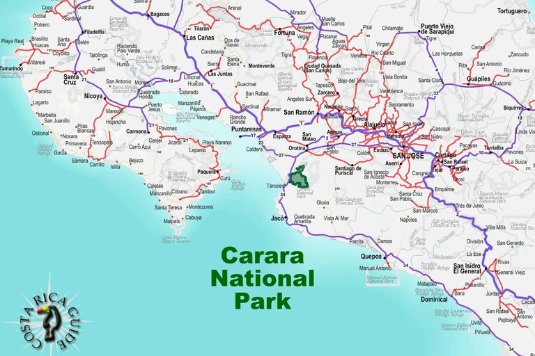 Carara National Park: Guided Walk Carara Costa Rica Nature