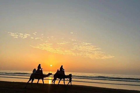 Agadir: Desert & Beach Quad with Sandboard & Camel Option Double Desert & Beach Quad, Sandboard