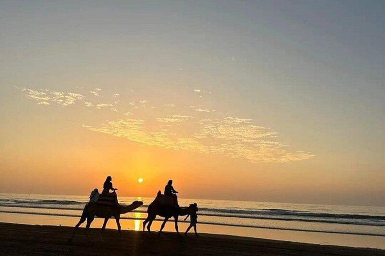 Agadir: Desert & Beach Quad with Sandboard & Camel Option Double Desert & Beach Quad, Sandboard