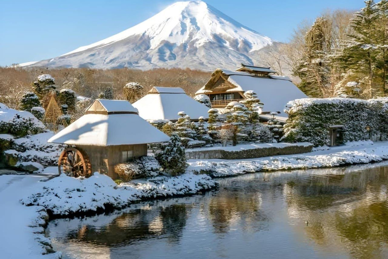 Mount Fuji Or Hakone Private Tour From Tokyo (Customizable) Van ( Toyota Vellfire or Alphard)