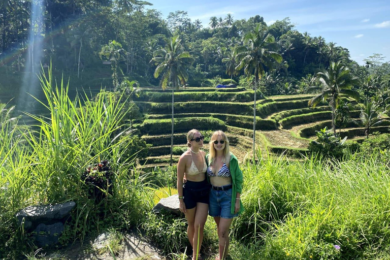 Alquiler de coches: La mejor excursión por las cascadas y terrazas de arroz de Ubud8 horas en coche Terrazas de arroz, cascadas, templo del agua