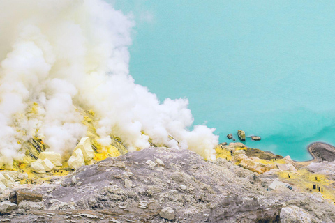Banyuwangi: Trekking guidato del cratere di Ijen e dell&#039;alba