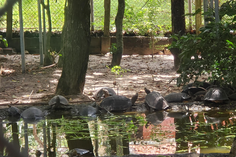 Chi so mountain _ Ta moa zoo_ Bati temple Tour