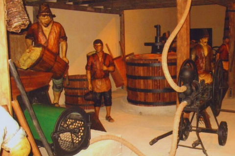 Casablanca: Private Wine Tour at Estancia El Cuadro, Valparaíso, Viña del Mar