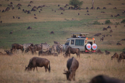 3 dagars Masai Mara Group Budget safari i 4x4 Jeep Daily Tour