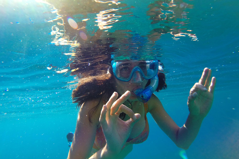 Foresta delle scimmie di Jozani e grotta di Malum Nuoto