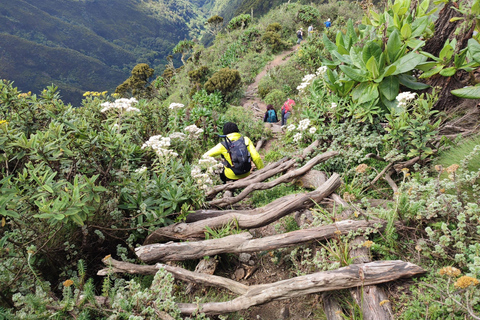 Rwanda 1 Day Mount Sabyinyo Hiking Adventure