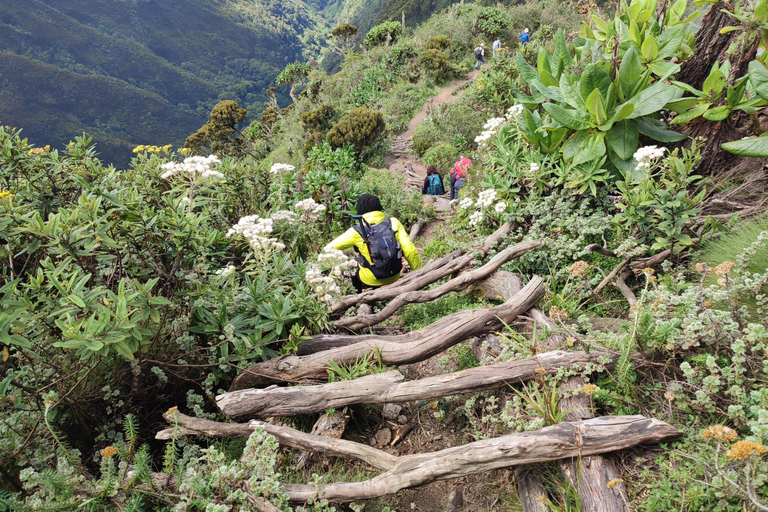 Rwanda 1 Day Mount Sabyinyo Hiking Adventure