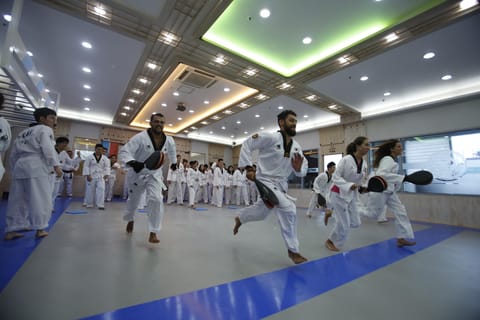 Busan: 1 Hour Taekwondo Experience with a Master - Image 2