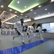Busan: 1 Hour Taekwondo Experience with a Master