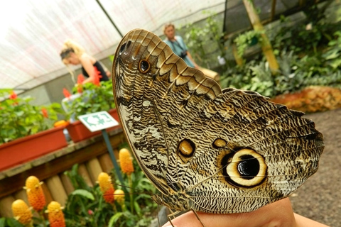 Quito: Mitad del Mundo and Mindo, birds, 7 waterfalls, cable car, butterfly farm