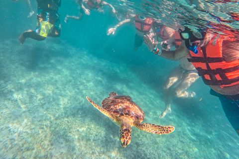 Cancun: Tulum Ruins, Akumal Turtles, Cenote & Caves Snorkel From Cancun