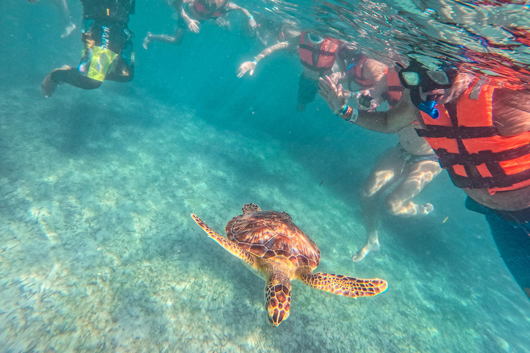 Cancun: Tulum Ruins, Akumal Turtles, Cenote & Caves Snorkel From Cancun