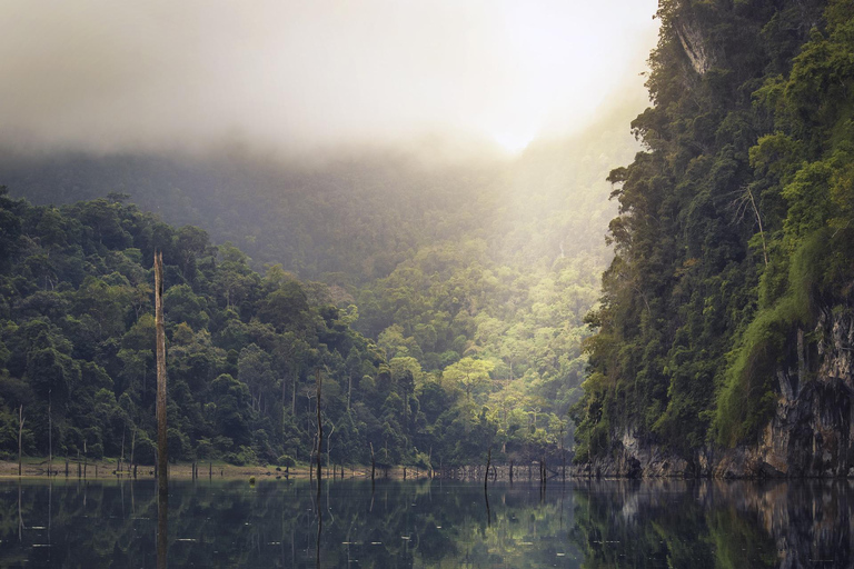 Scenic Sri Lanka 4-dagars tur