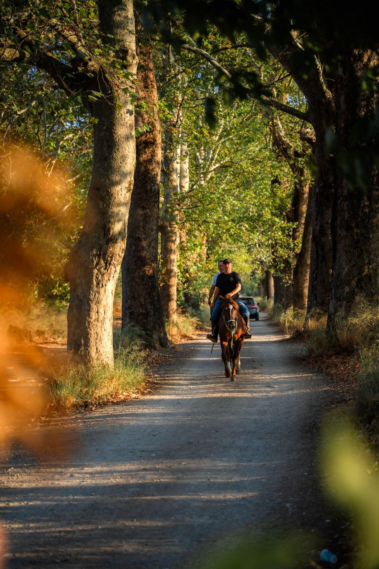 Provence: Ausritt im Naturpark Alpilles
