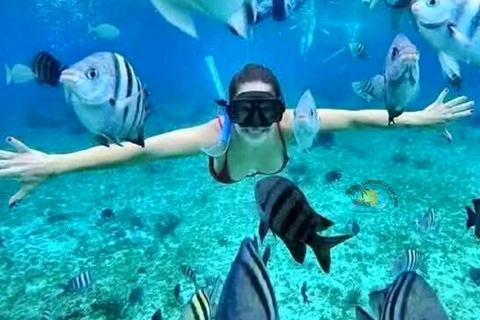 Zanzibar: Traditional Boat Snorkeling Starfish & Sunset Trip Meeting Point – Full Inclusions (No Hotel Transfers)