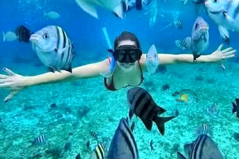 Zanzibar: Traditional Boat Snorkeling Starfish & Sunset Trip Meeting Point – Full Inclusions (No Hotel Transfers)