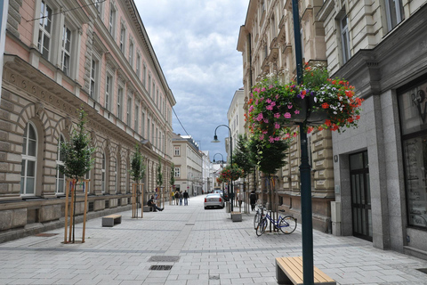 Linz - Passeio a pé histórico particular