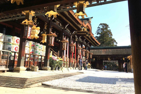 Kyoto/Osaka/Nara: Kyoto Private Guided Day Trip on Vehical