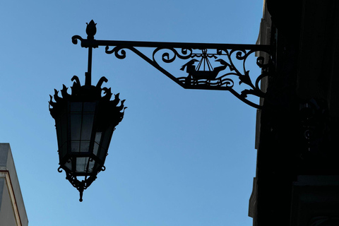 Cadiz from a seagull's eye view: a route among rooftops and lookout towers