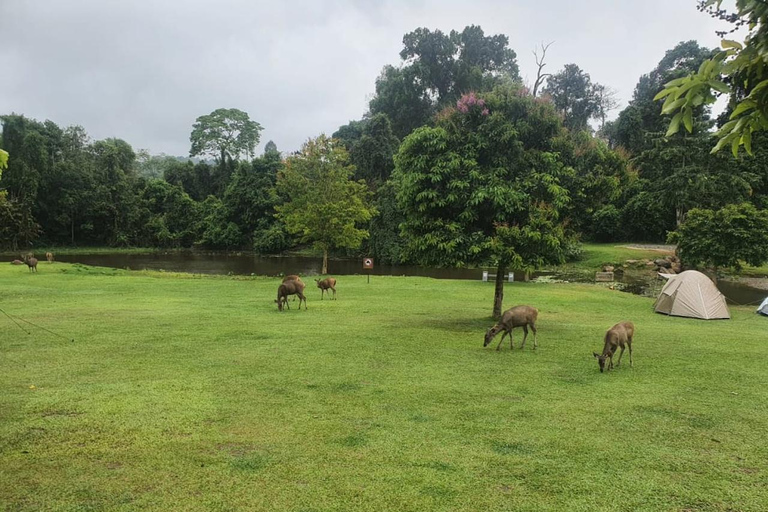 Bangkok: Ayutthaya Temples and Khao Yai National Park Tour Small Group Tour