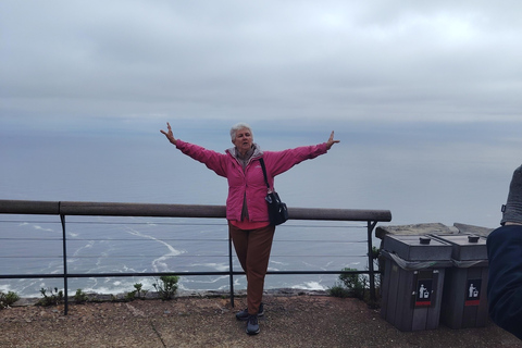 Cape Town: Table Mountain Cable Car Ticket