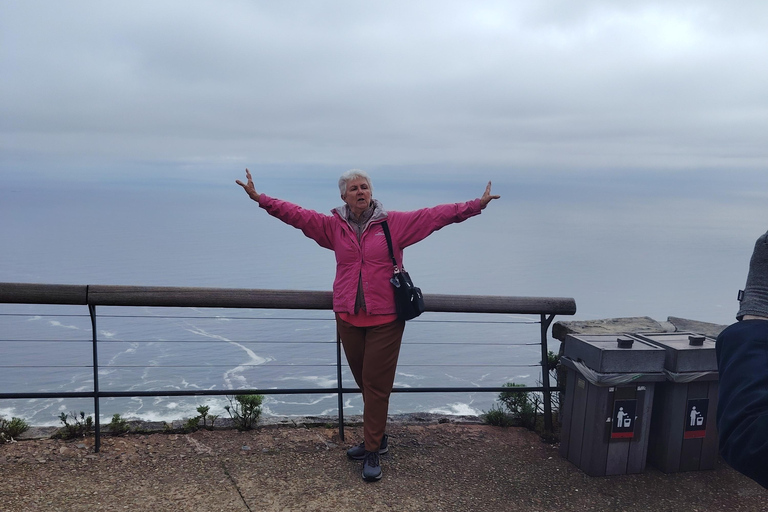 Cape Town: Table Mountain Cable Car Ticket
