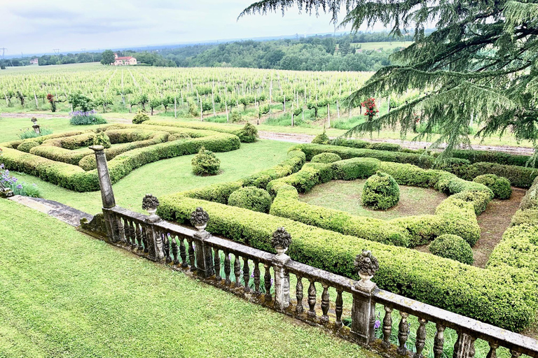 Novi Ligure: Vineyard Estate Tour & Lake Walk with Tasting