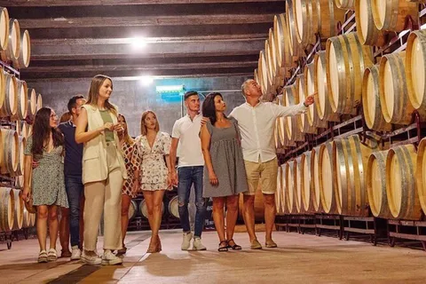 Excursão de meio dia às vinícolas e ao azeite de oliva de Mendoza