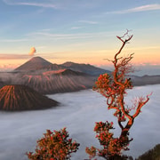Surabaya/Malang: Waterfall, Bromo & Ijen with Bali Drop-Off