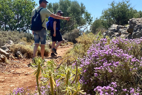 Creta: Tour guiado de senderismo por el Cañón de Kritsa