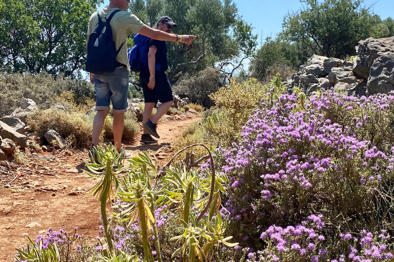 Creta: Tour guiado de senderismo por el Cañón de Kritsa