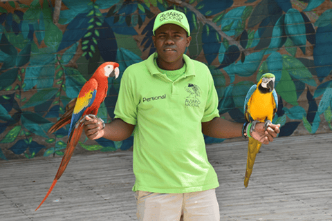 Cartagena: Day Tour to Barú with Admission to the Aviary
