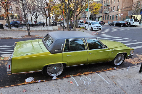 New York: Dangerous Neighborhoods Tour. New York: Dangerous Neighborhoods Tour in Italian