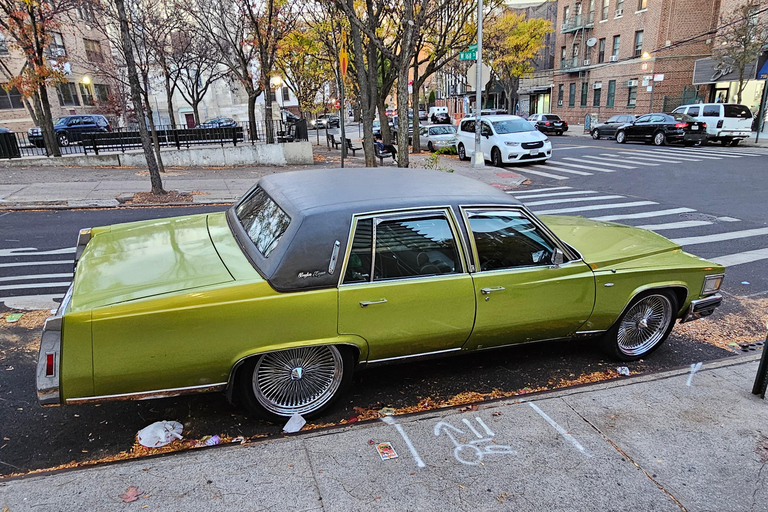 New York: Dangerous Neighborhoods Tour. New York: Dangerous Neighborhoods Tour in Italian