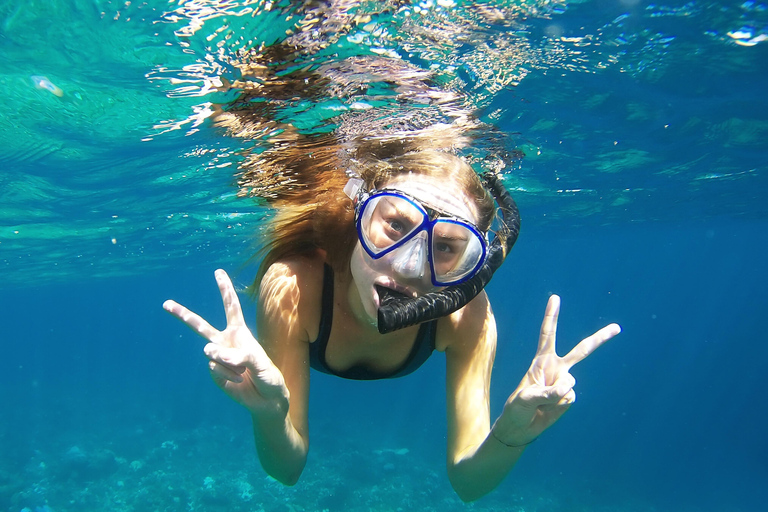 Mallorca: On Road Buggy Tour + Panorama View + Snorkeling