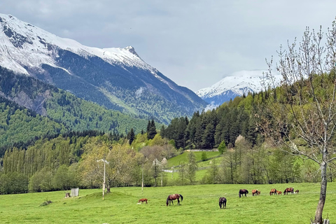 From Tbilisi: 3-Day Svaneti Tour with Guide & Accommodation
